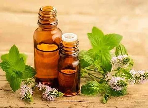 قیمت خرید عرق بادرنجبویه پامچال با فروش عمده